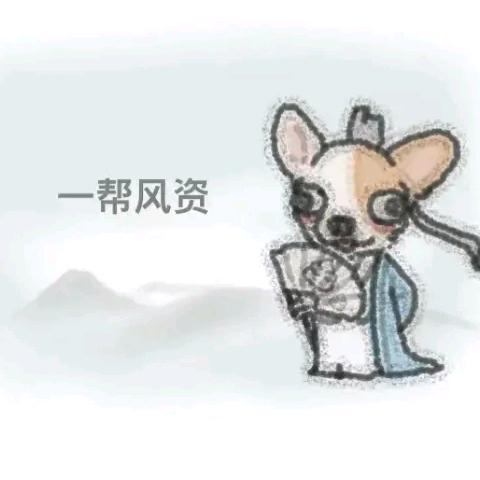 考不上就死