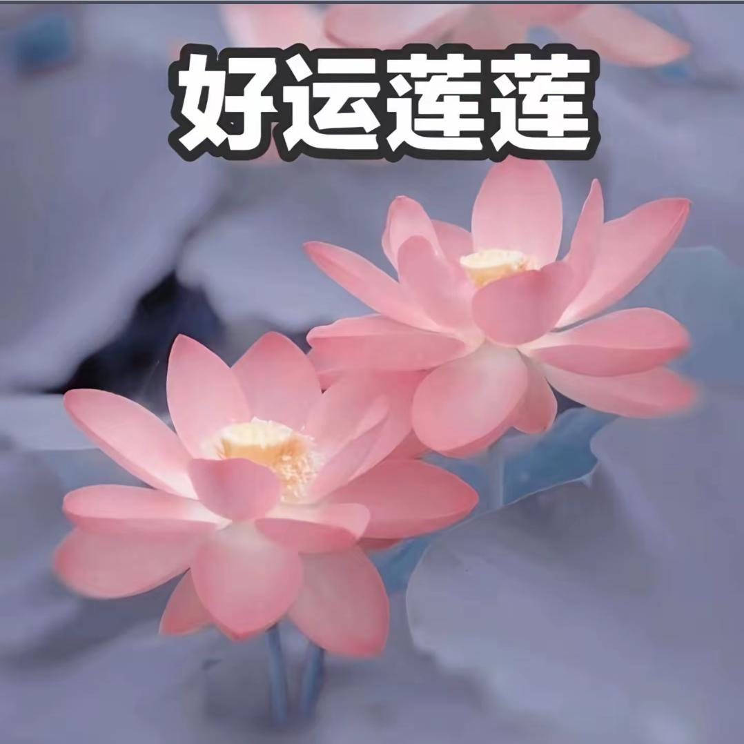 1.1