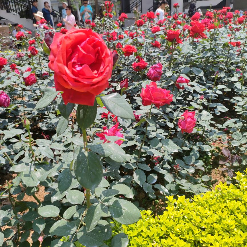 改变自己的一切