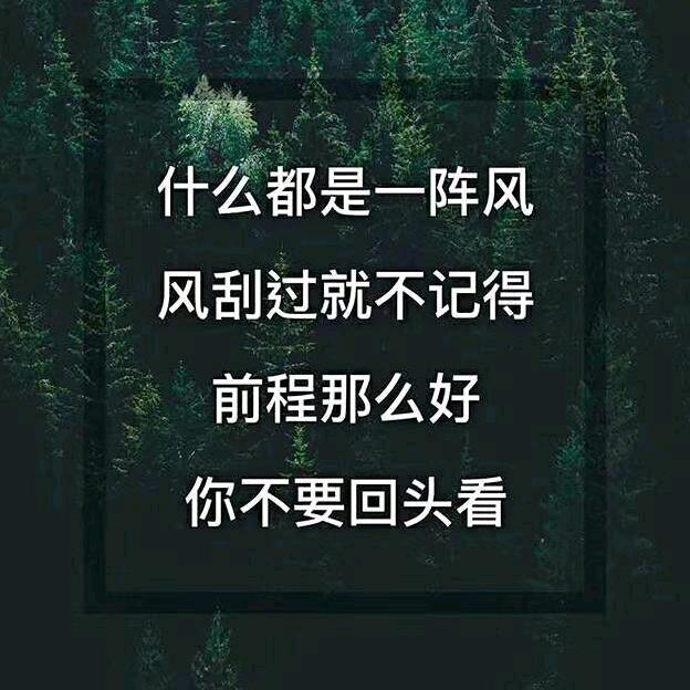 哼哼哈嘿