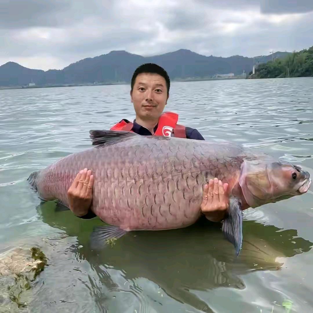 踏浪滑漂