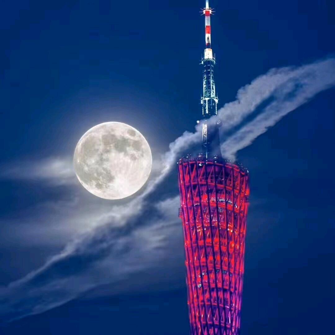 龙的传人🐉