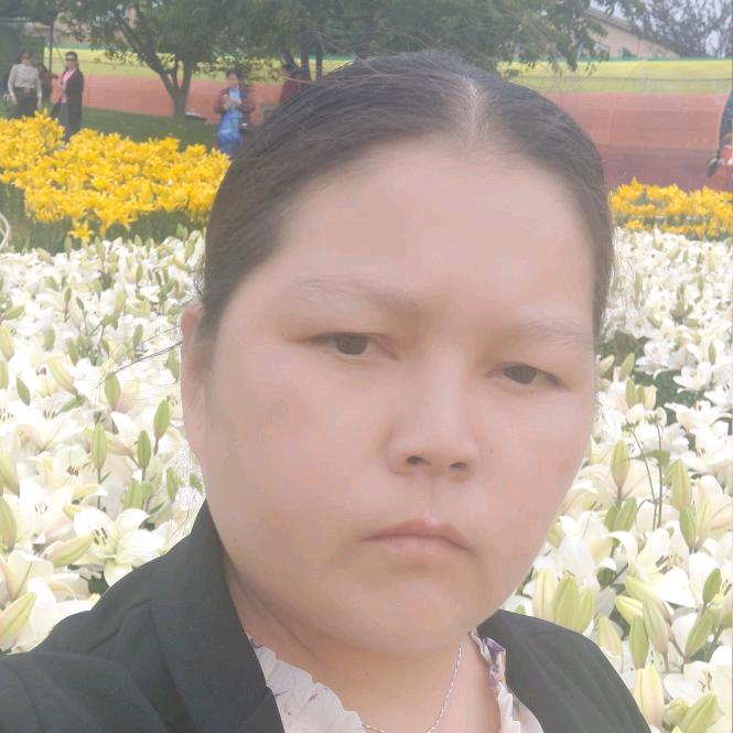 水墨兰