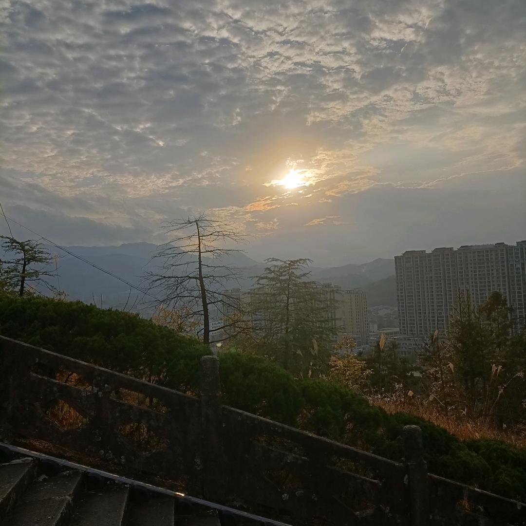 摆渡