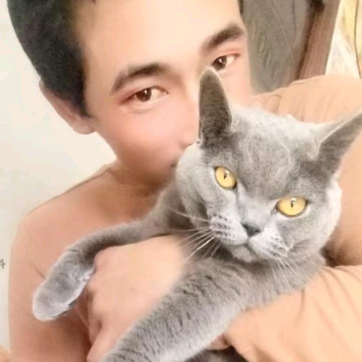 承包钢筋配料板扎，