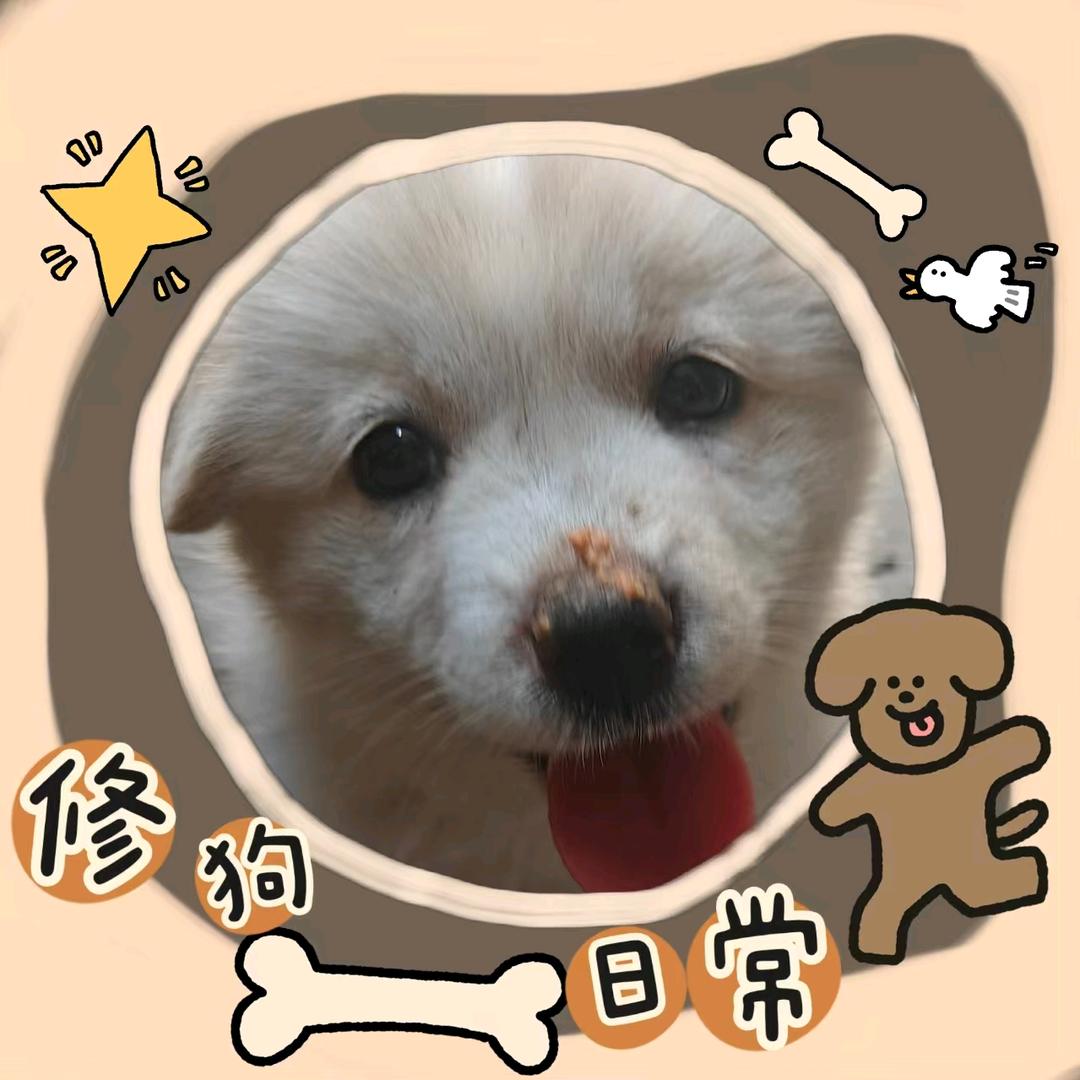 炮弹