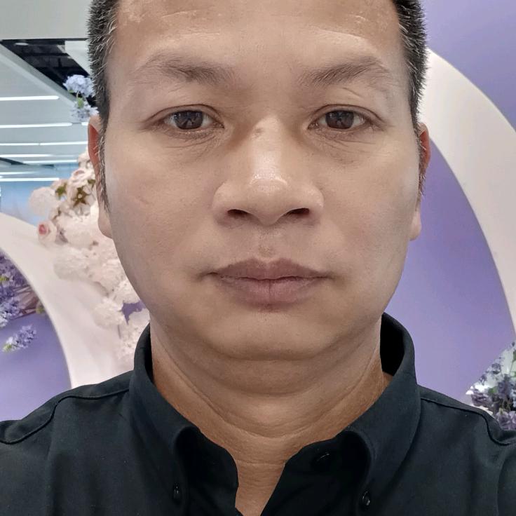 再不去流浪