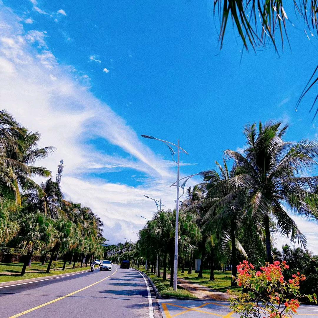 生活是一杯酒18888466512