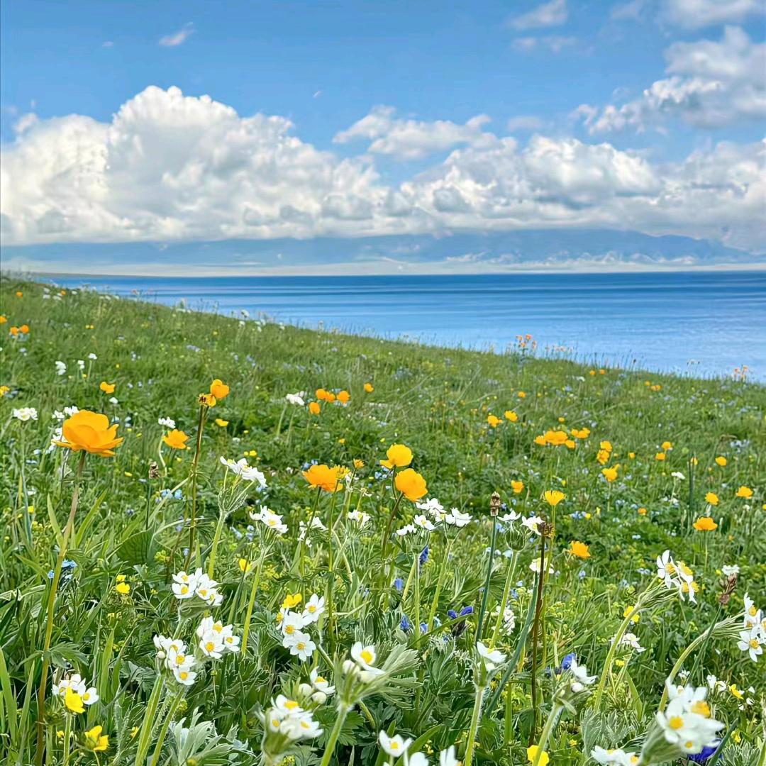 用户3260657710792君