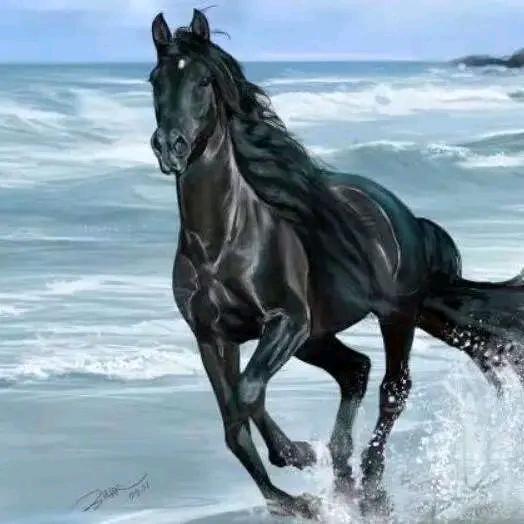 量程量化序多空系统跟庄技术应用