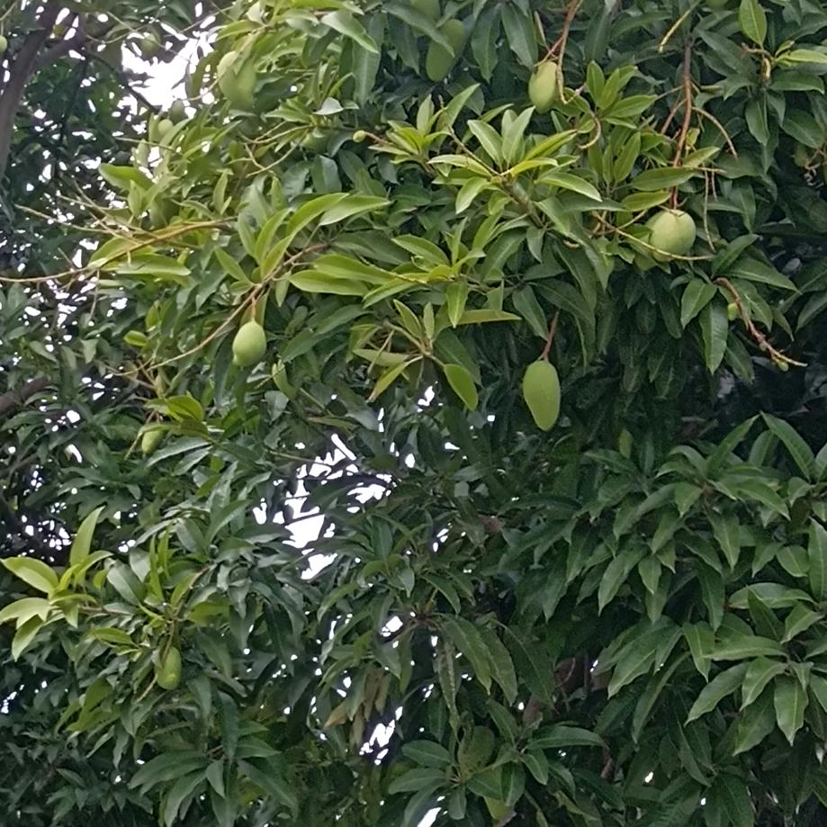 Freewheeling《退网》