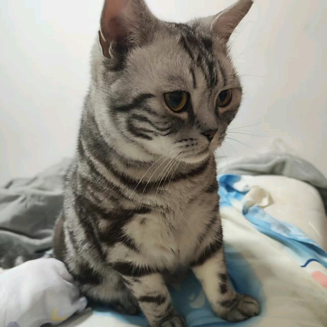❤️吖吖❤️