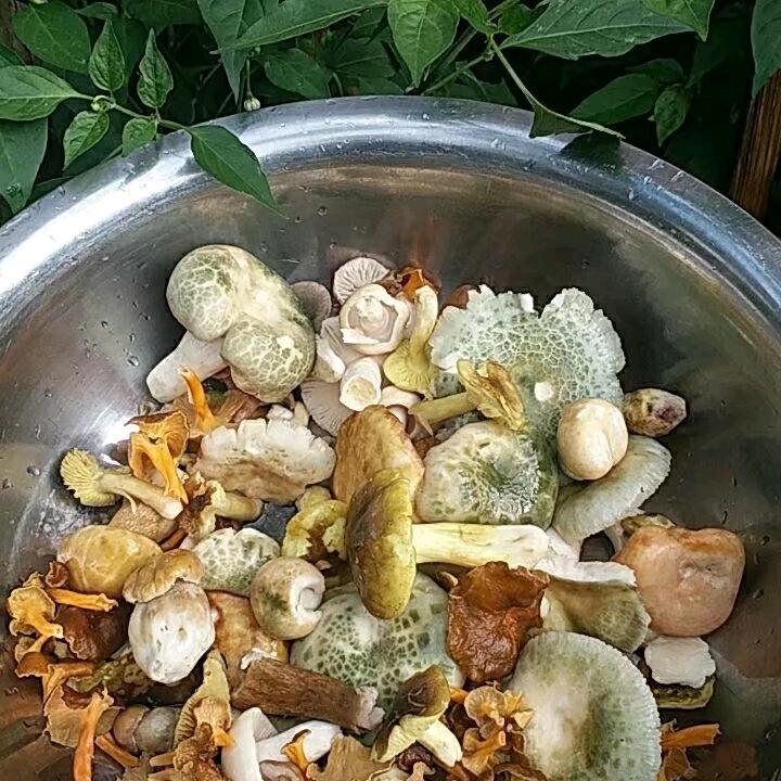 哦