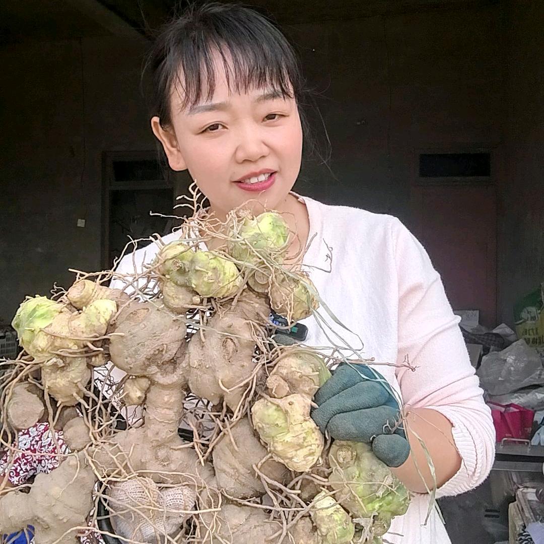 潼南黄精琳琳