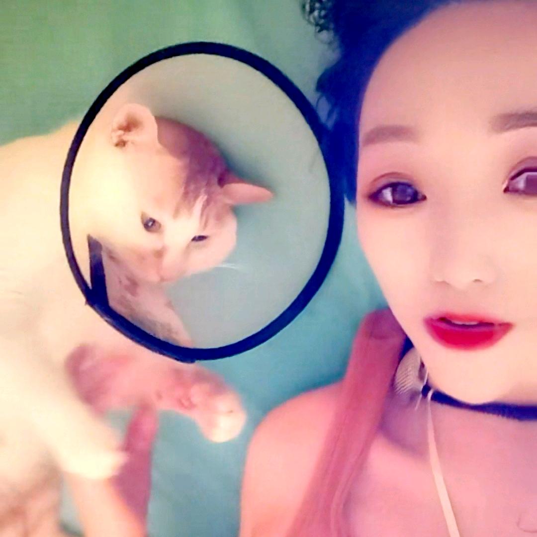 咪咪和美美
