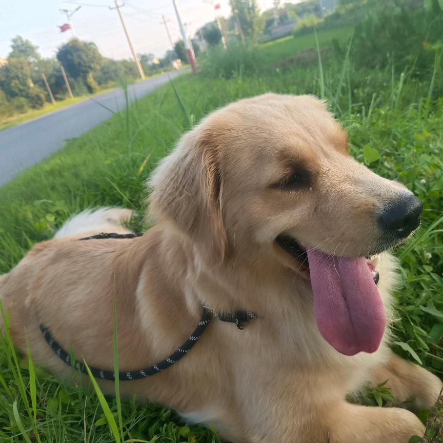 @♥秋风落叶🍂