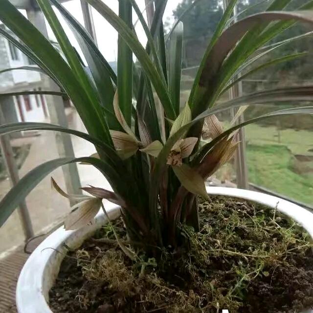温柔帅气