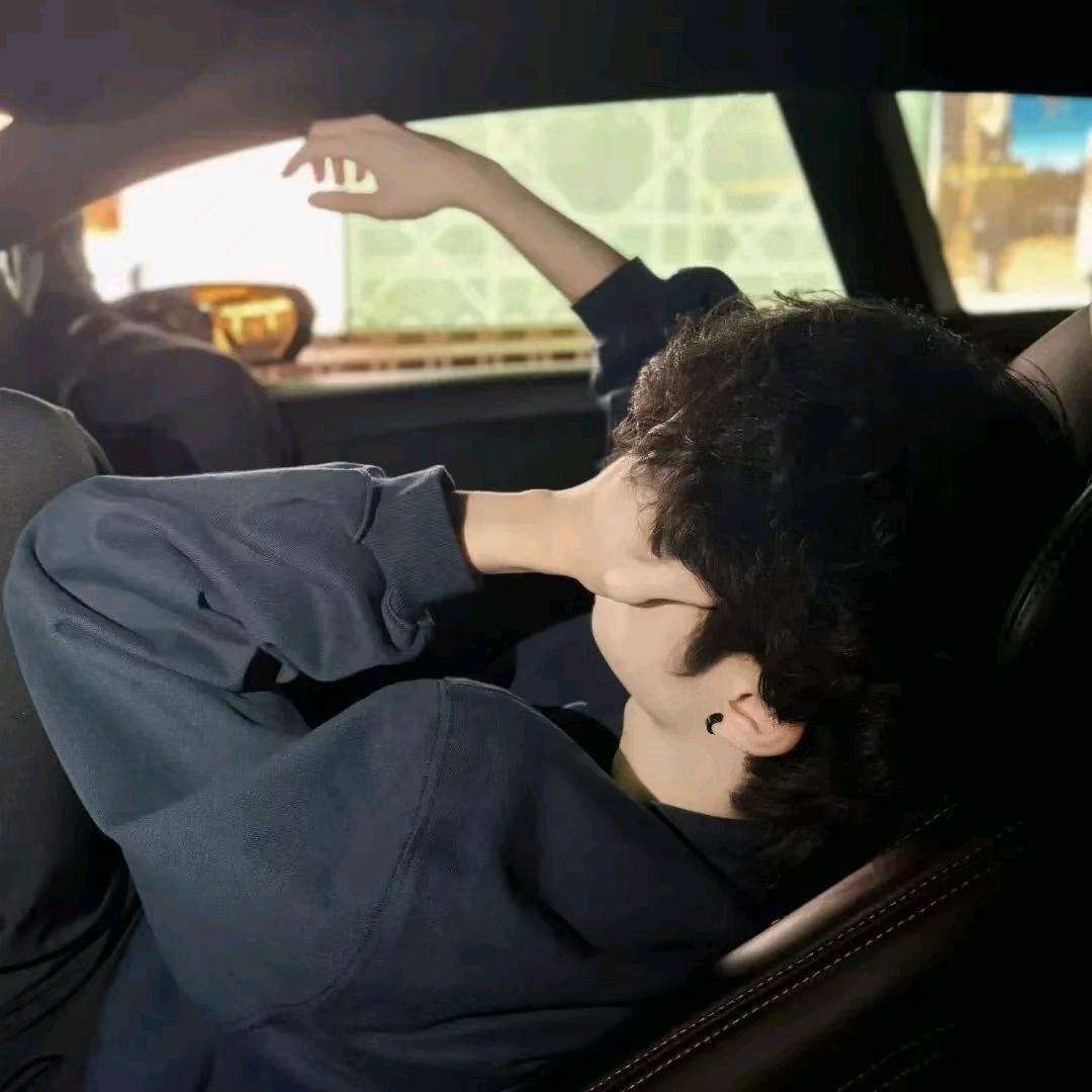杨灰灰