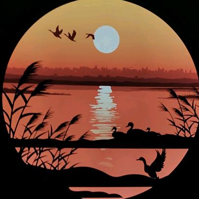 A浮生若梦