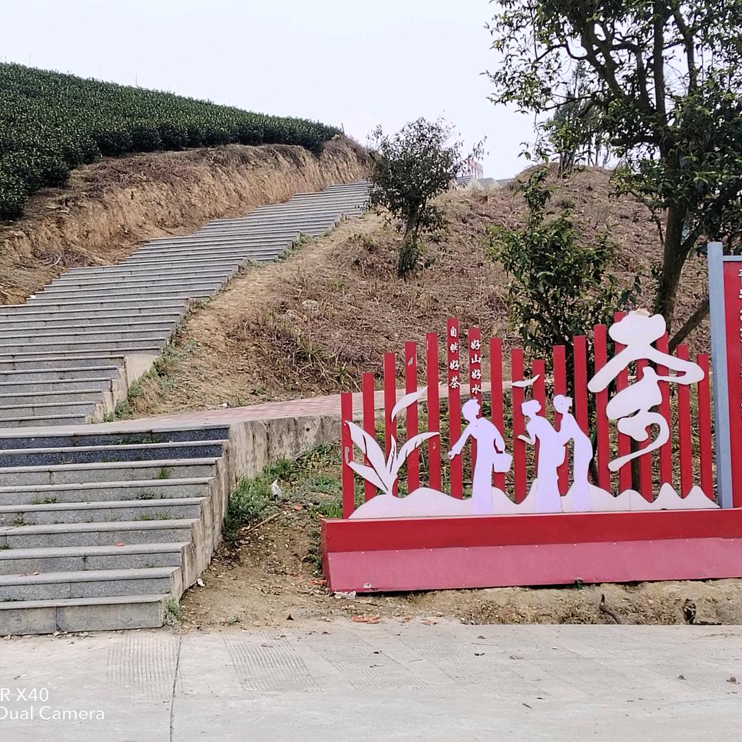 🐇🐇真🐇🐇诚🐇🐇