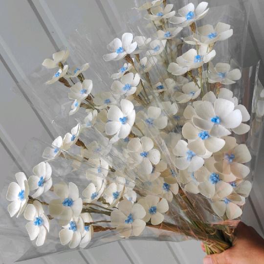 野植造物花艺馆