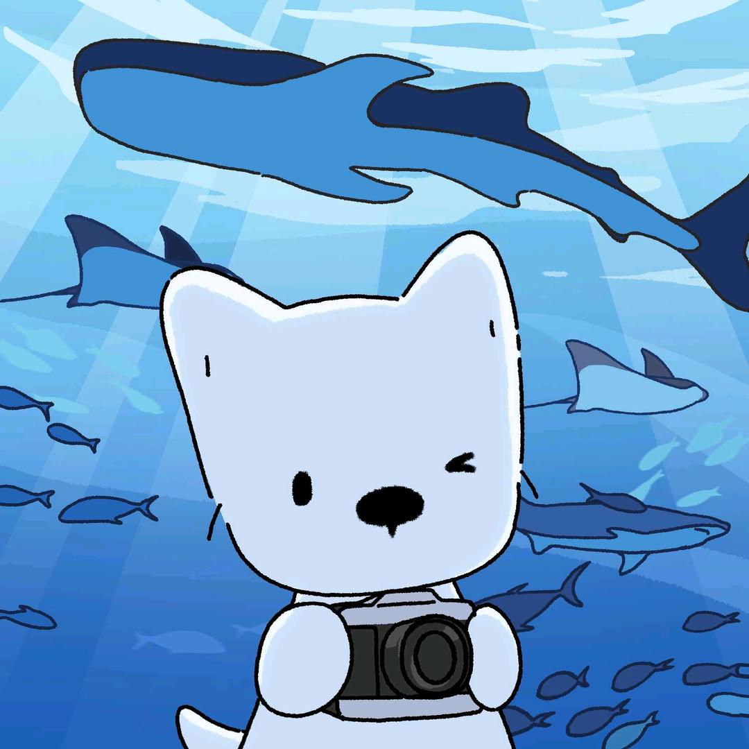 XIAO湘