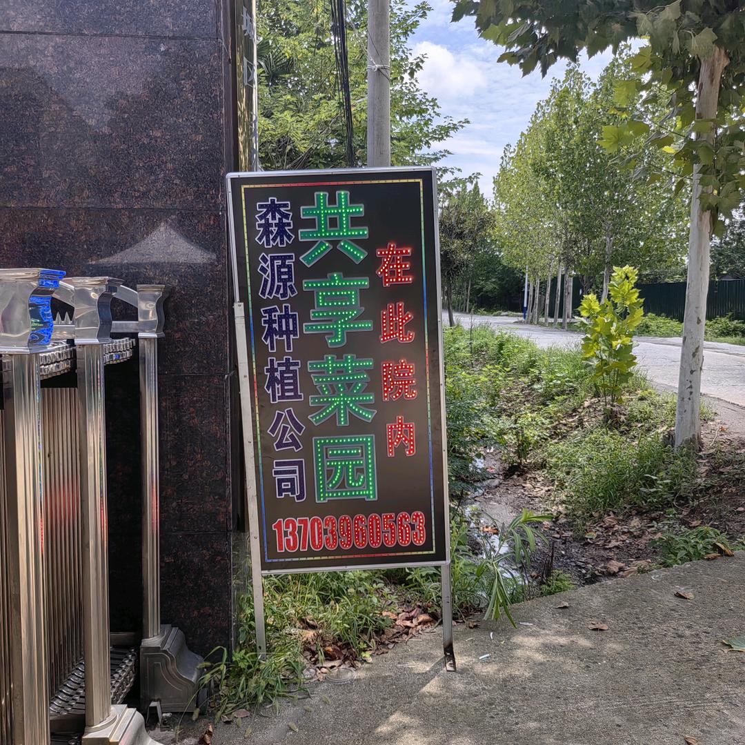 驻马店市森源种植公司共享菜园基地