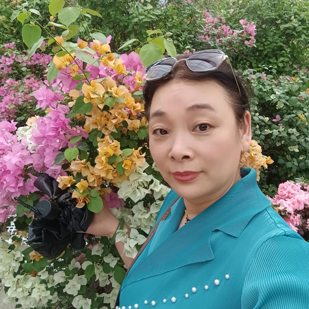杨柳依依