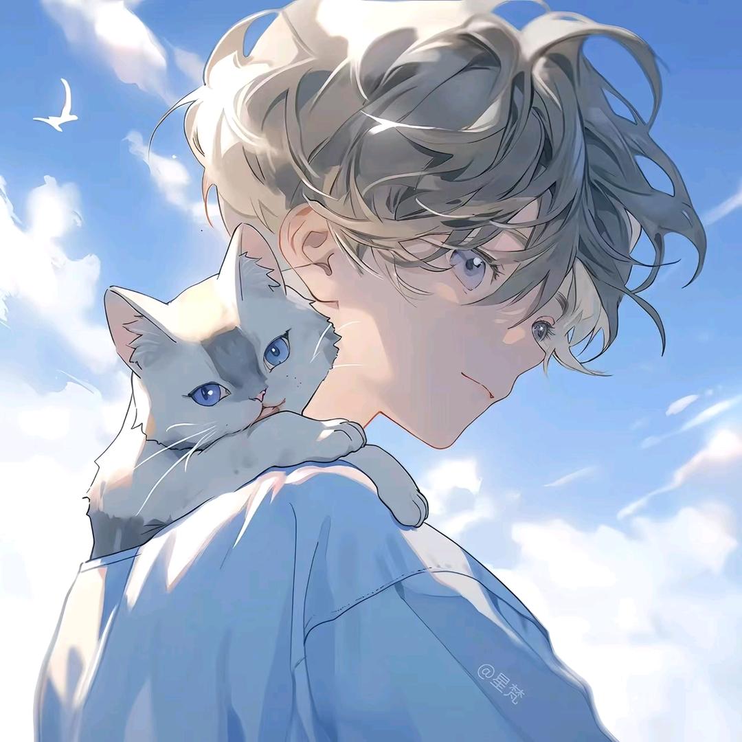 爱睡觉的猫先生