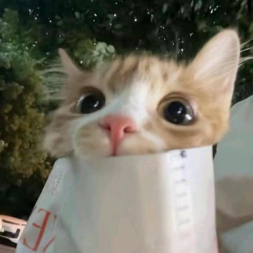 萌萌的我。