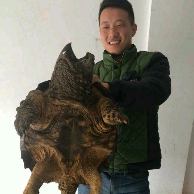 庆沣龟鳖优品坊