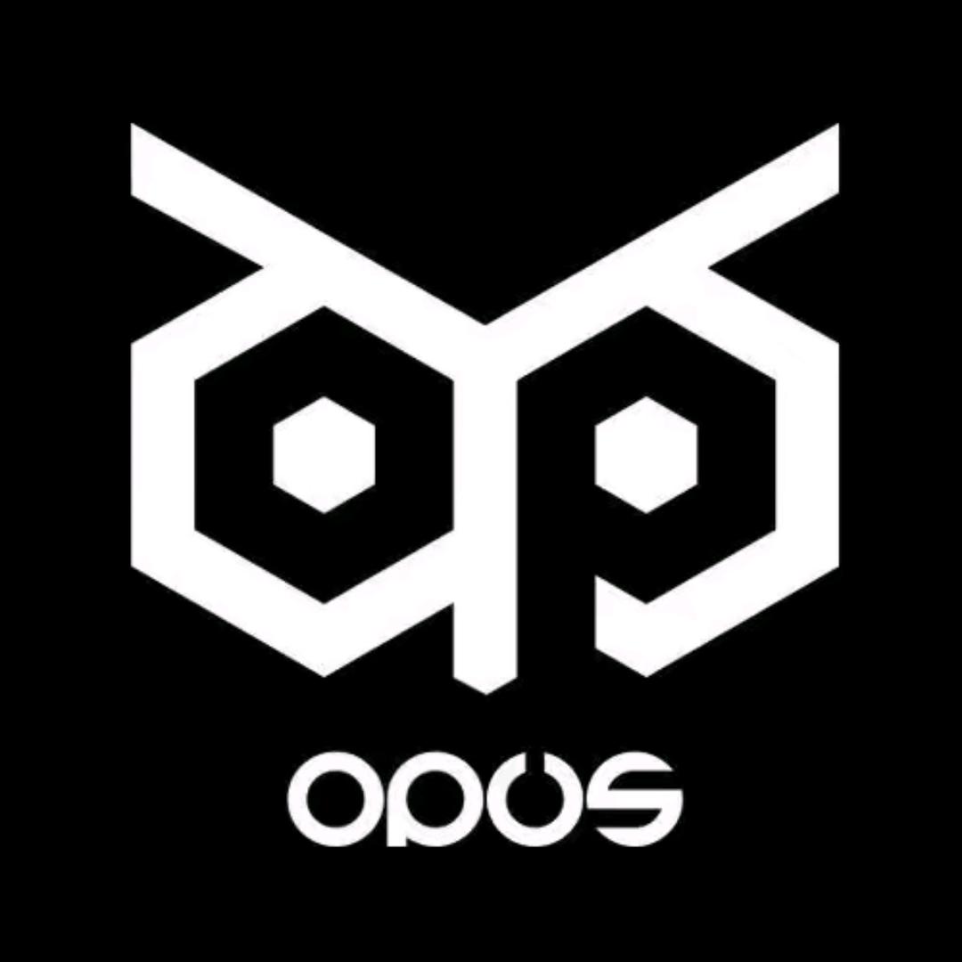 A合肥OPUS·X（团队招人）