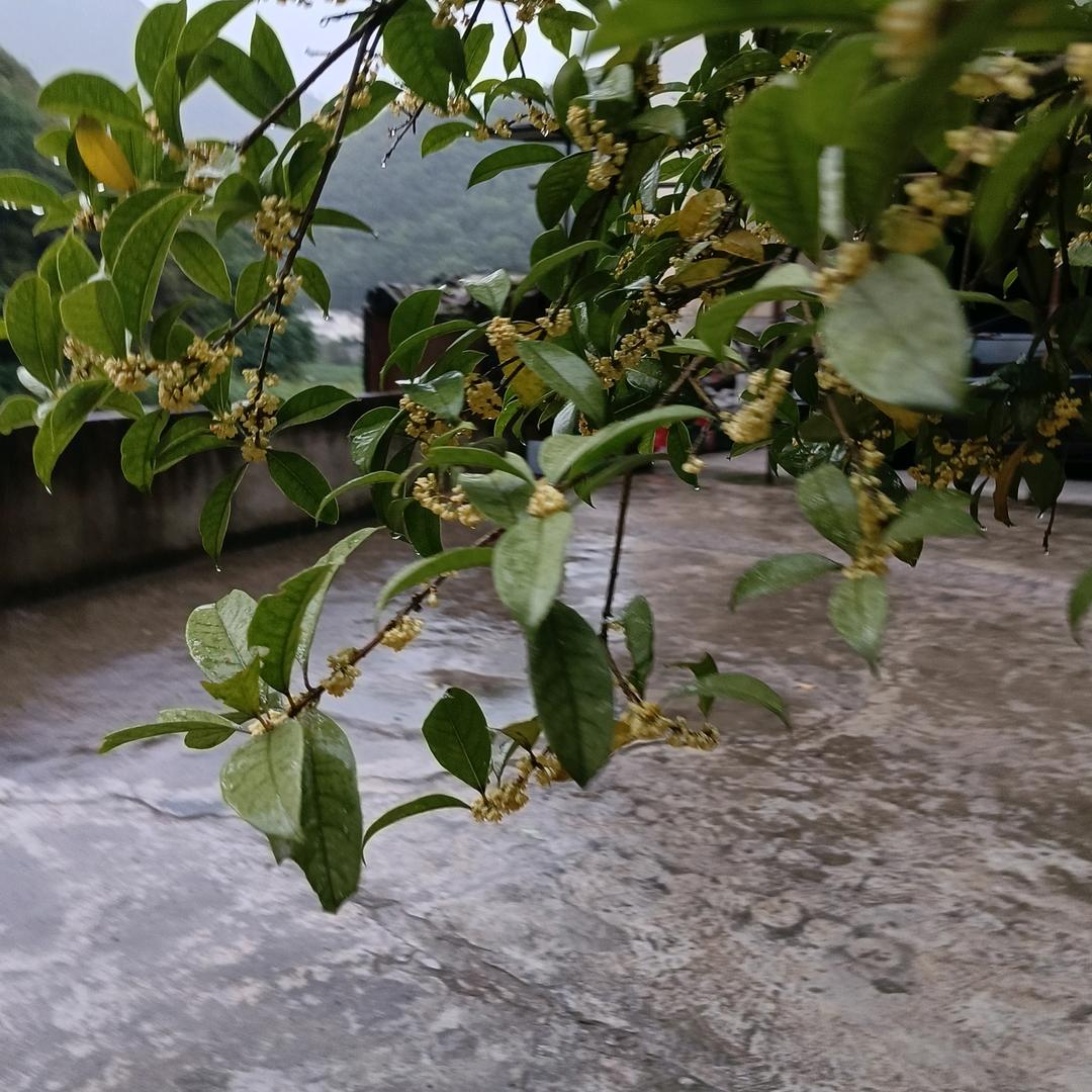 余生好好爱自己