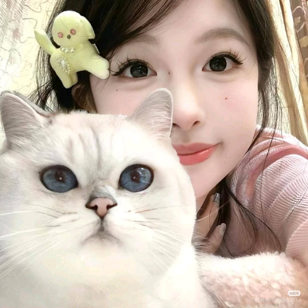 晚睡小猫