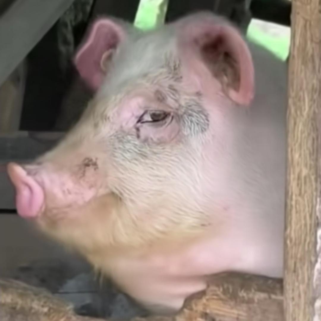 请叫我“雷锋”