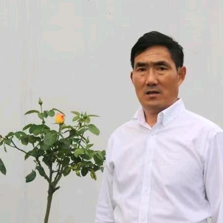 王老师谈物理学习