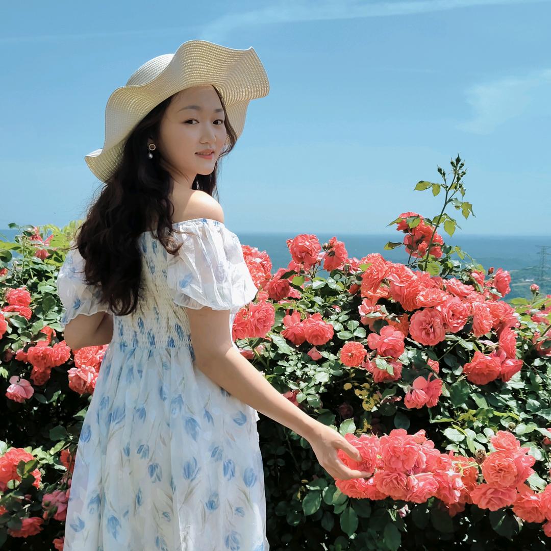 爱跳舞的林小姐