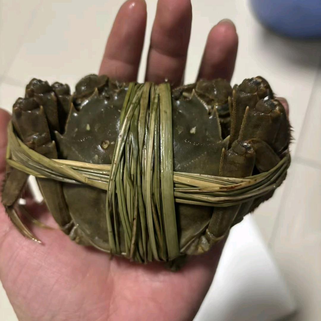 卖螃蟹的涛