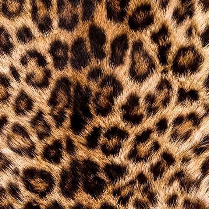 Dkdd_