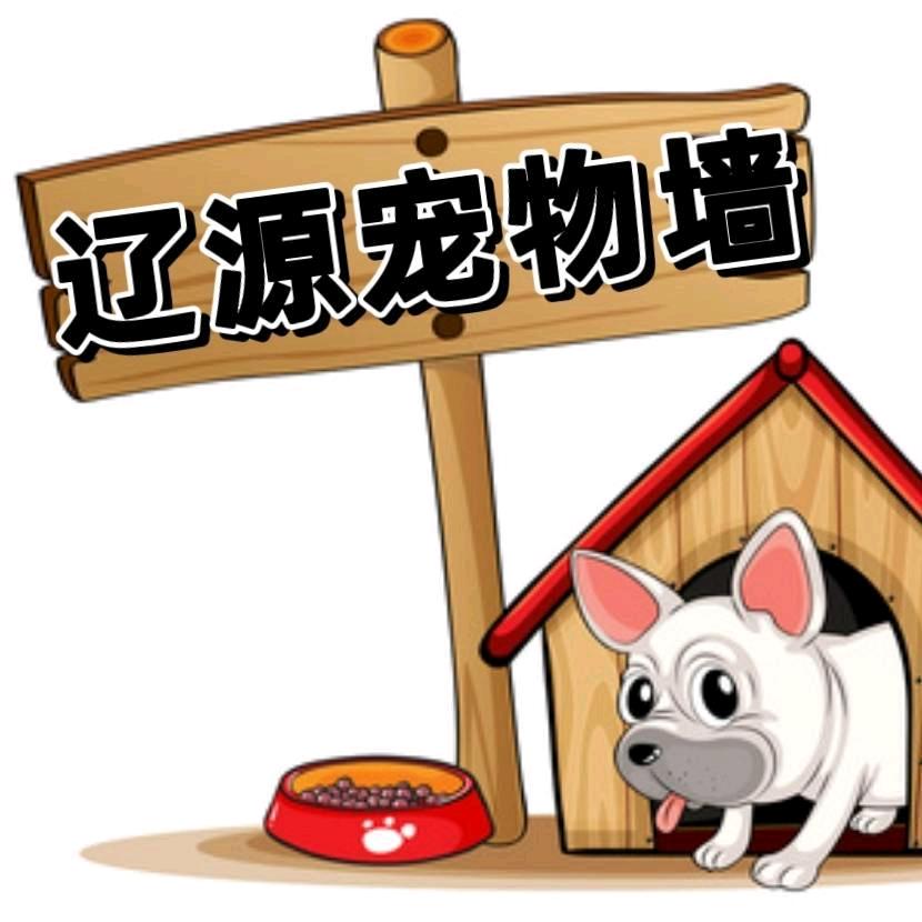 辽源宠物墙（给流浪动物找新家）