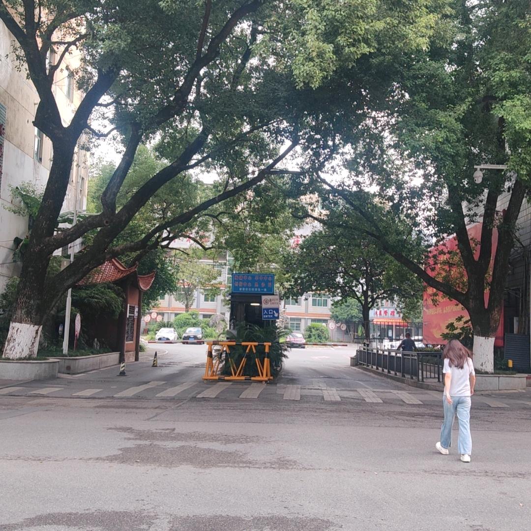 一个小心心逛一天