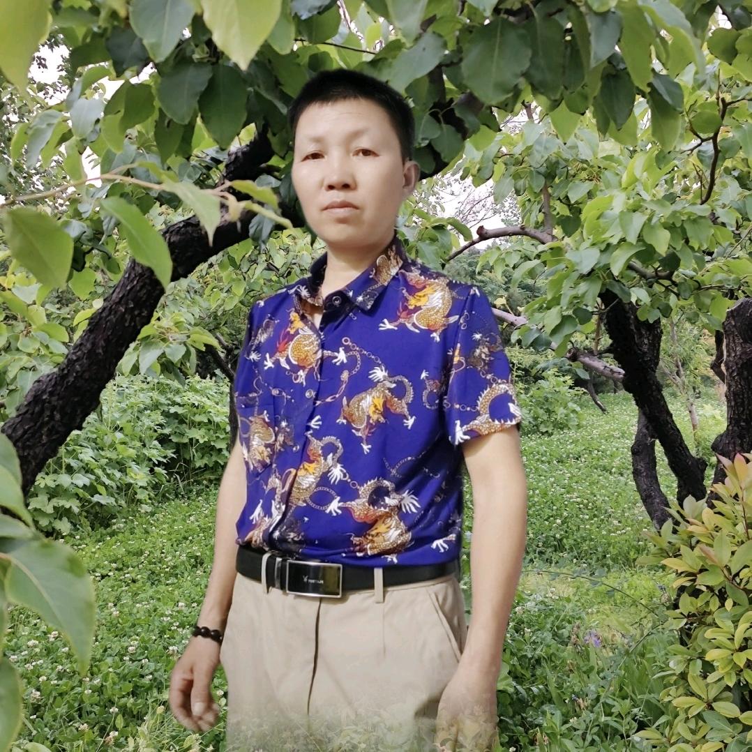 音乐爱好