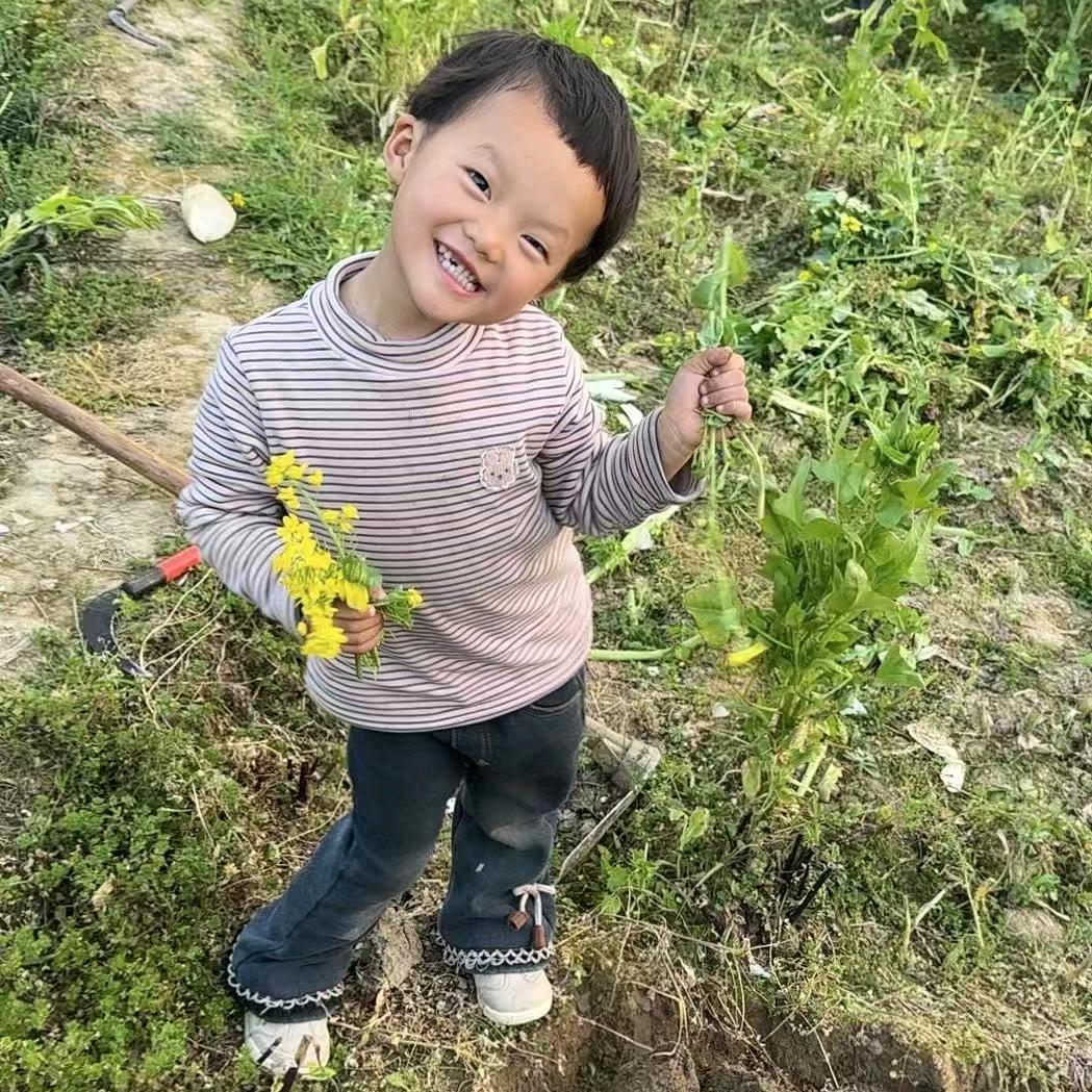 鄭涛