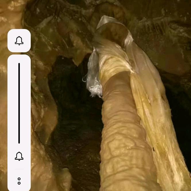 夏尔巴诺尔桑