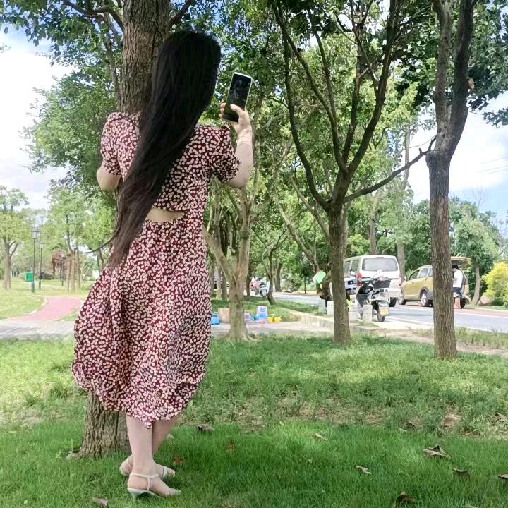 红·尘