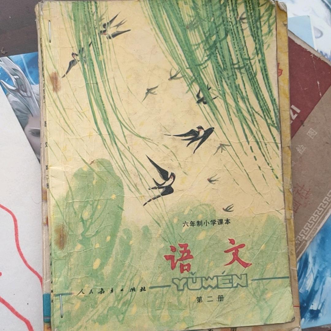 爱上书6