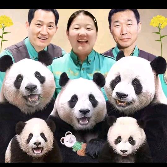 福宝，幸福宝家族