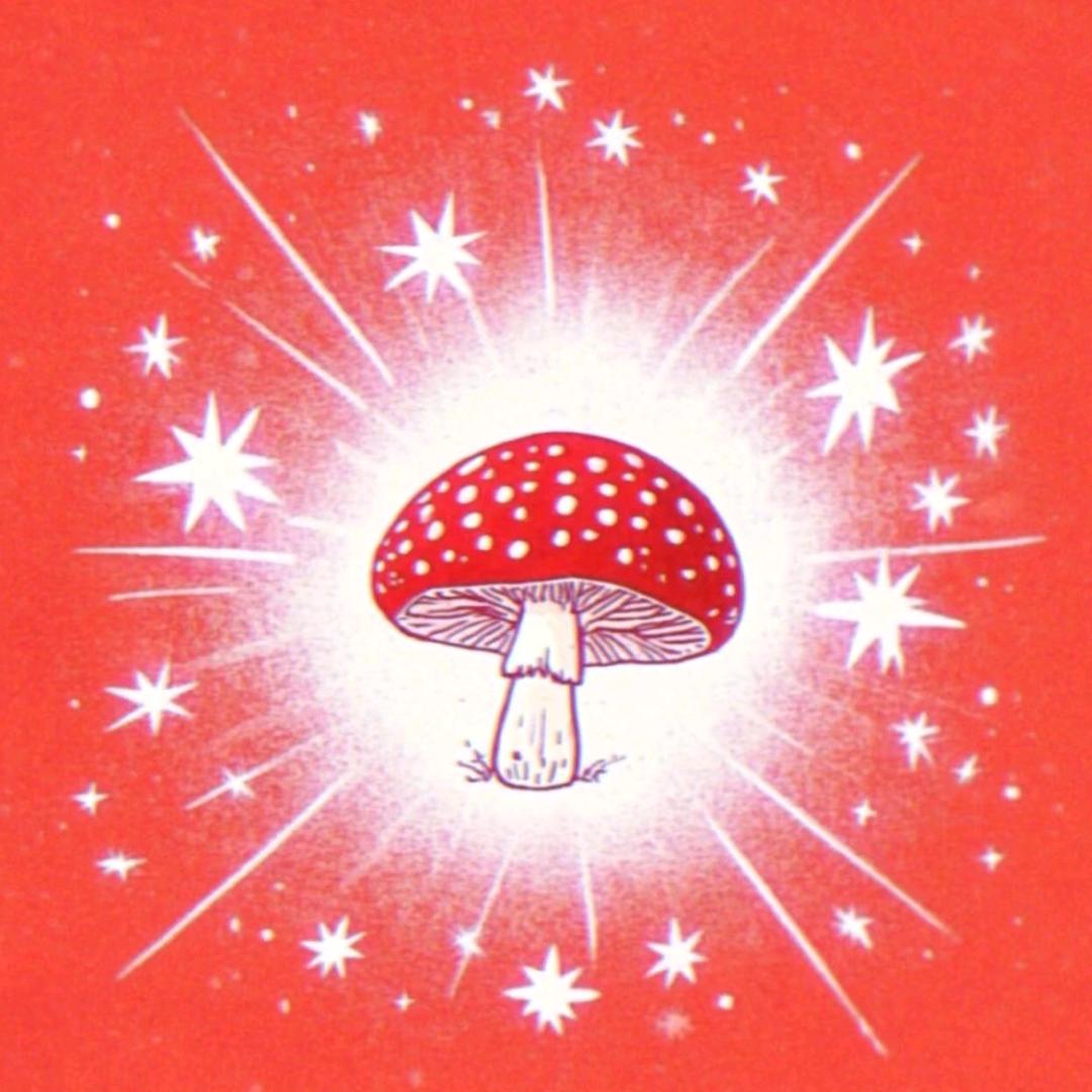蘑菇🍄