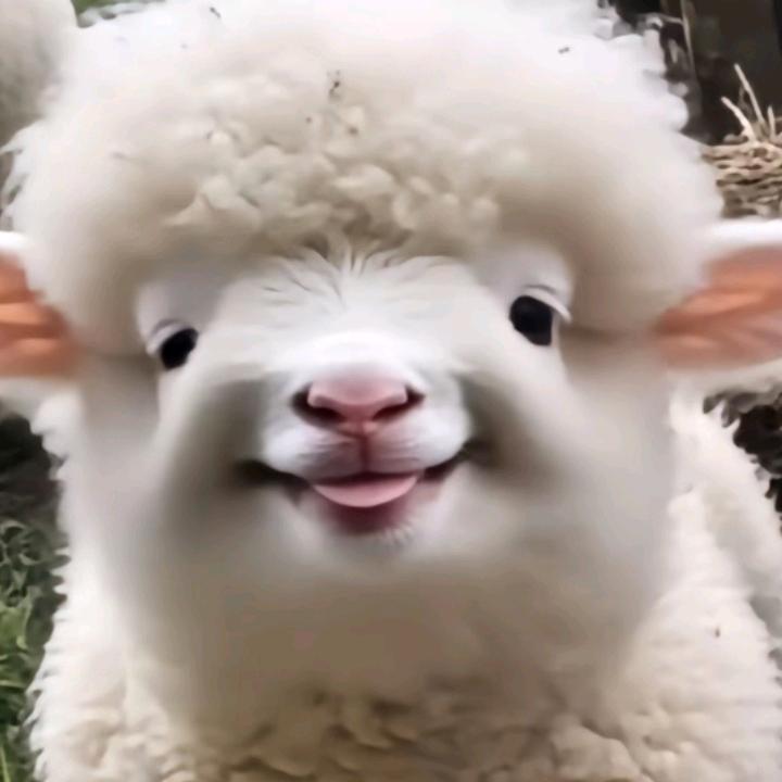 告别过往