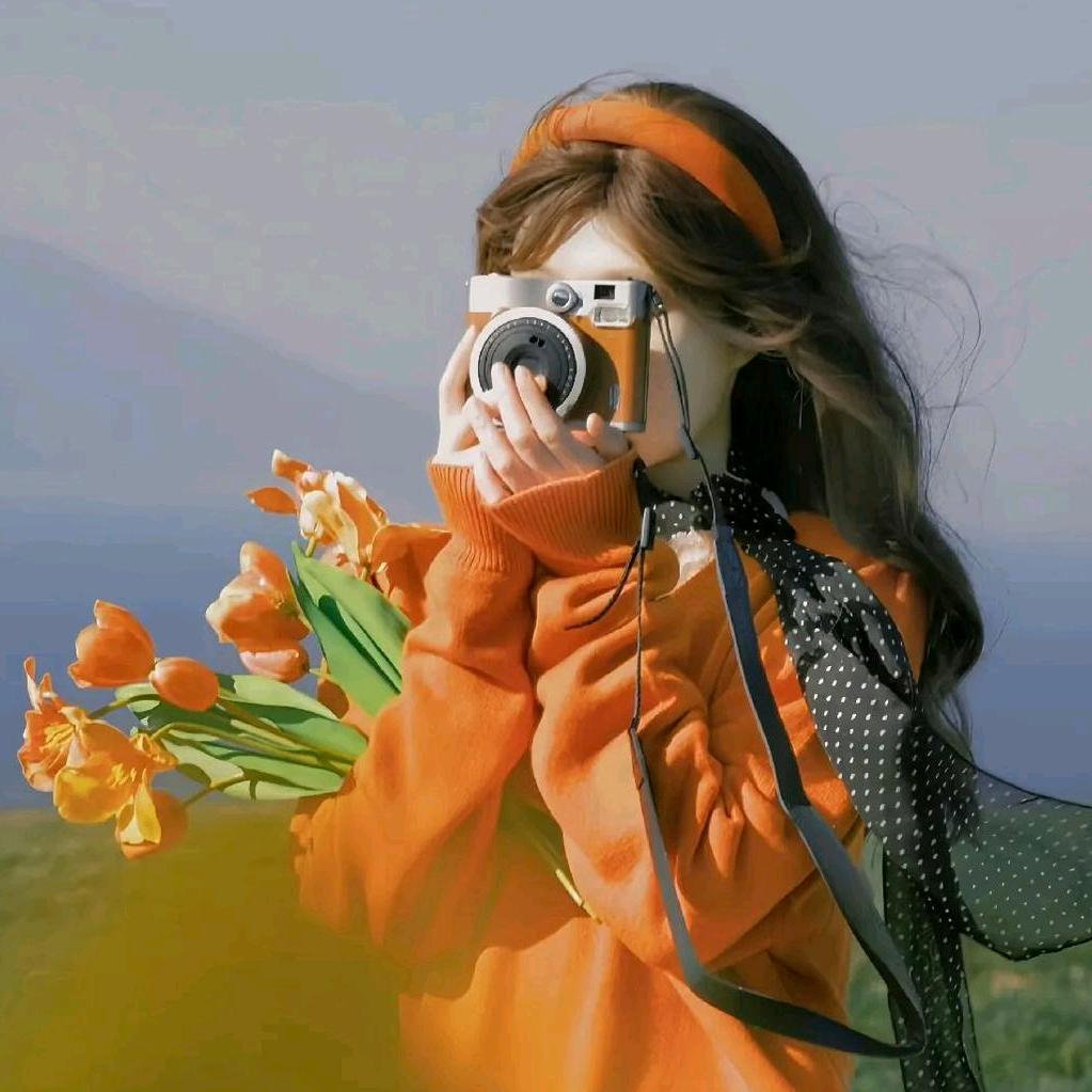 阳光彩虹小白马